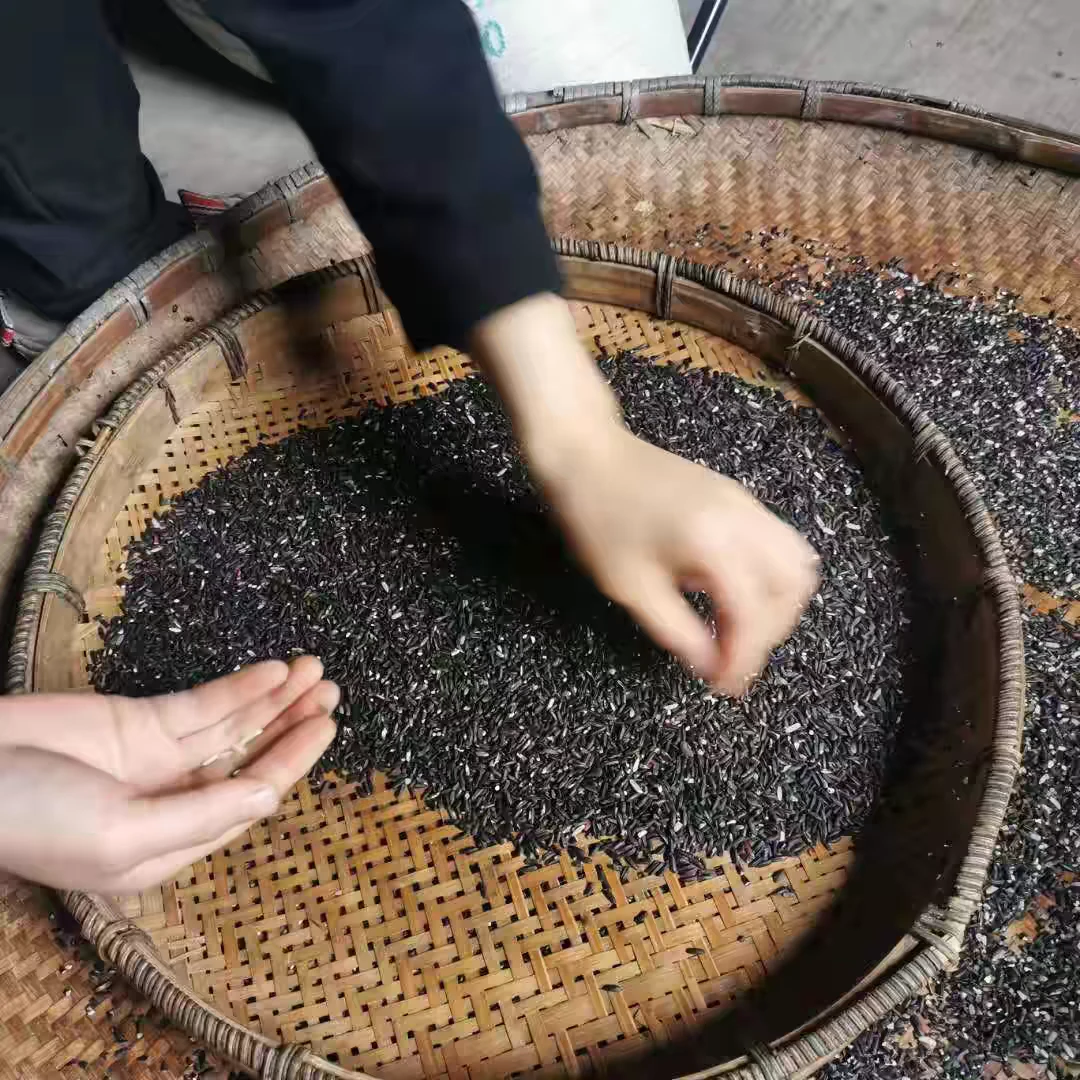 农村自种老品种黑米
