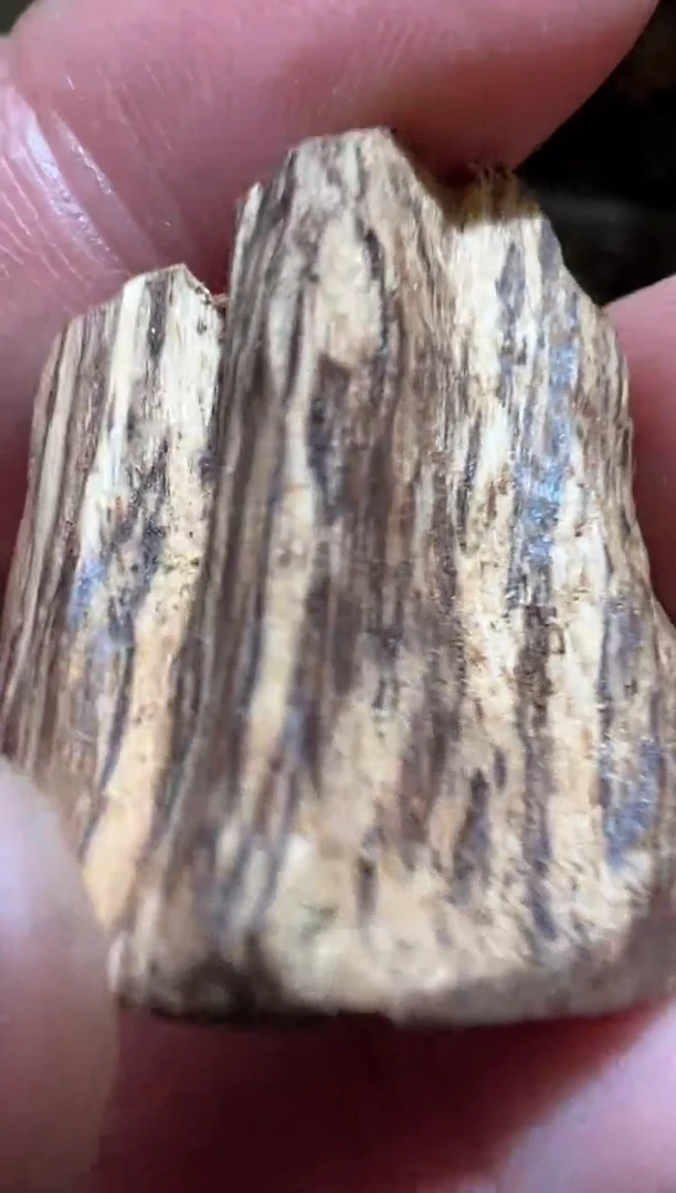 【闪购商品】沉香沉香碎屑富国岛3.4克