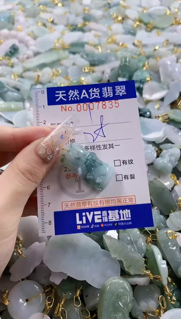 颈饰未镶嵌翡翠天然A货翡翠