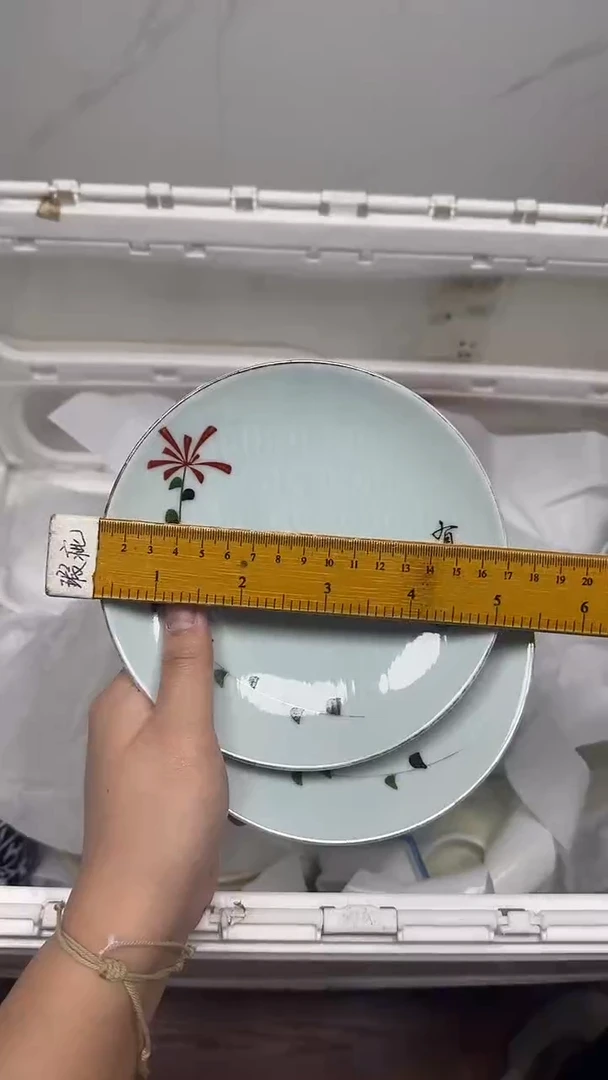 【闪购商品】099回流瓷器默认微瑕，18.8包邮