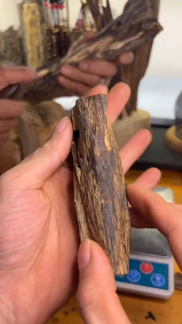 沉香沉香碎屑乌身圆叶品种23克