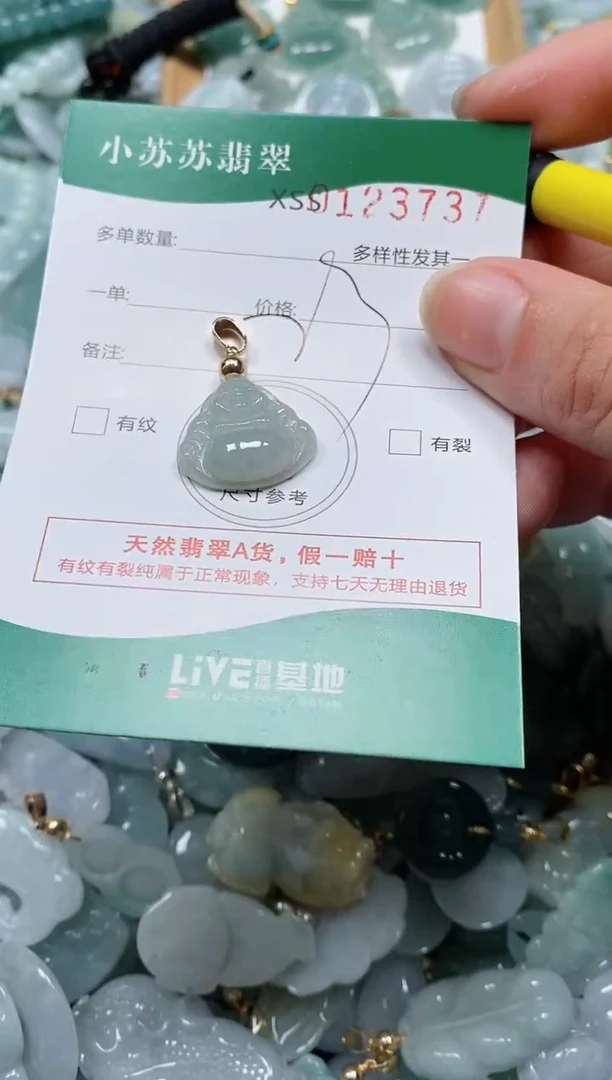 【闪购商品】翡翠颈饰未镶嵌闪购商品0123737