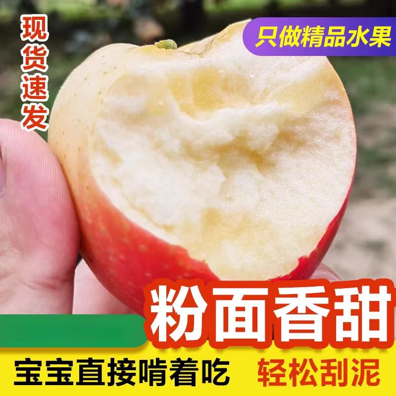 阿克苏嘎啦苹果5-8斤应季新鲜小苹果粉面沙甜糯脆粉两吃产地直发