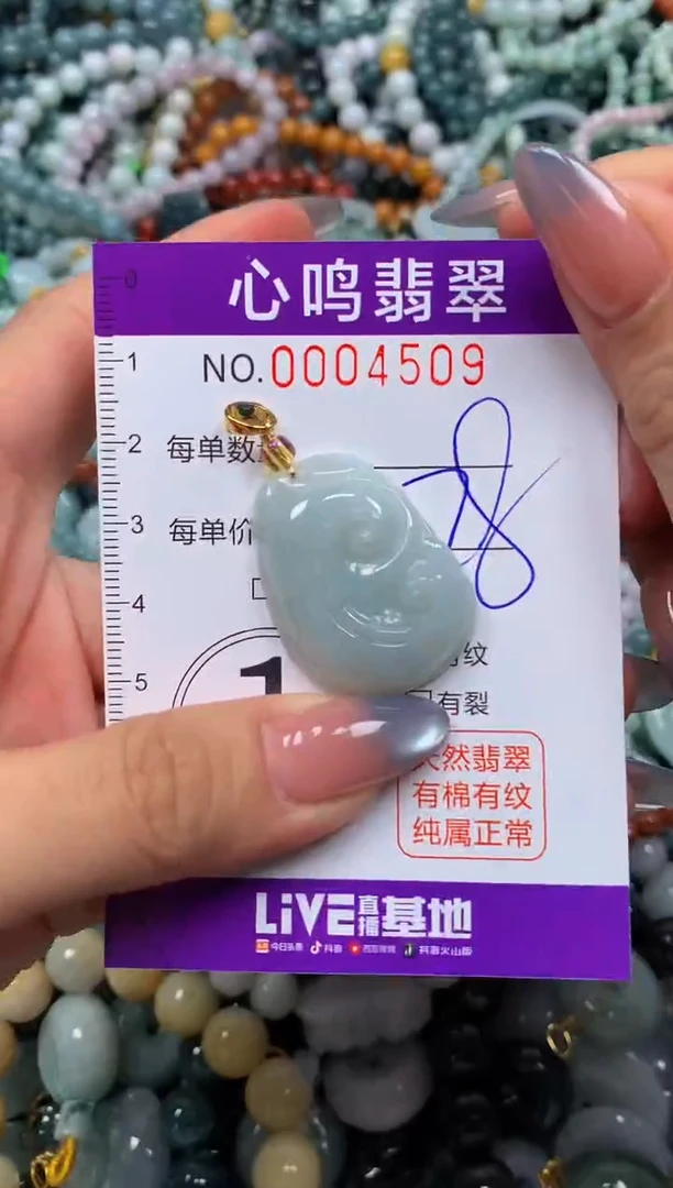 颈饰未镶嵌翡翠闪购004509