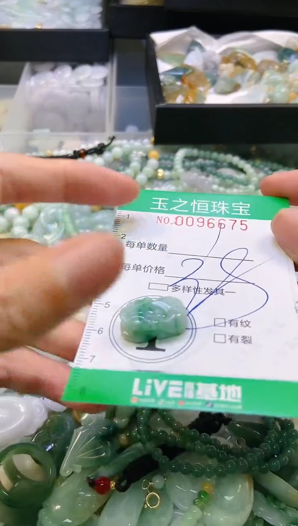 翡翠未镶嵌颈饰闪购0096675