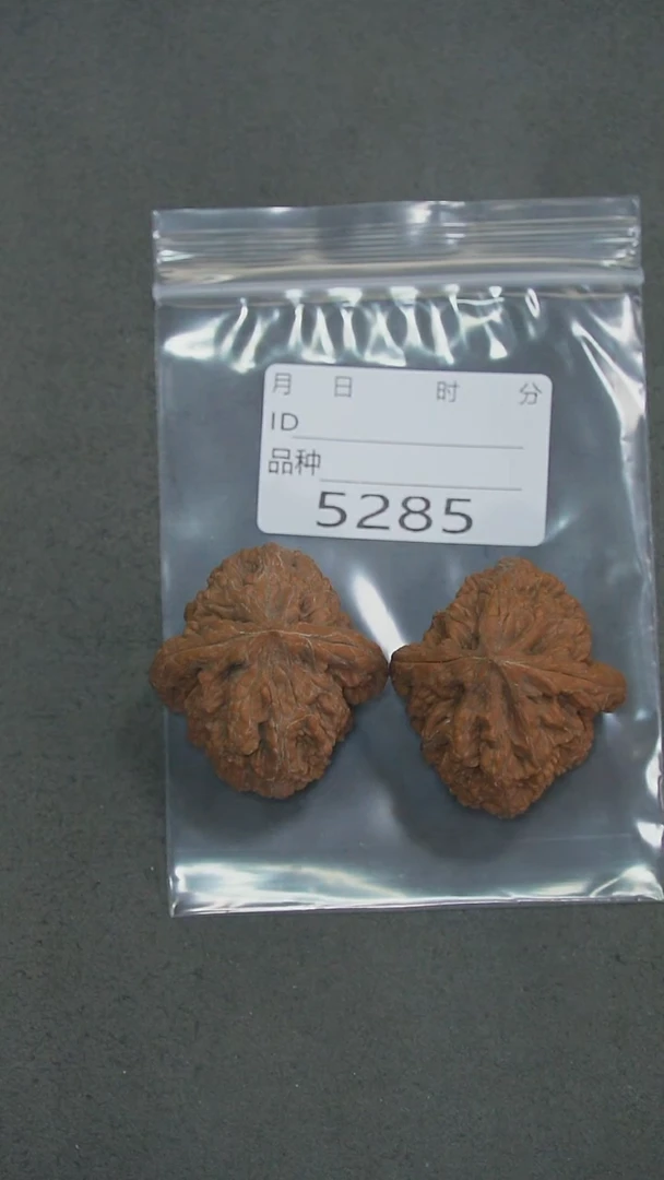 把件文玩核桃40虎头王