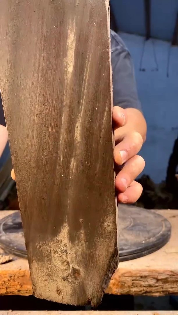 金丝楠木小叶桢楠