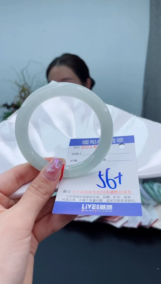 未镶嵌手镯翡翠2