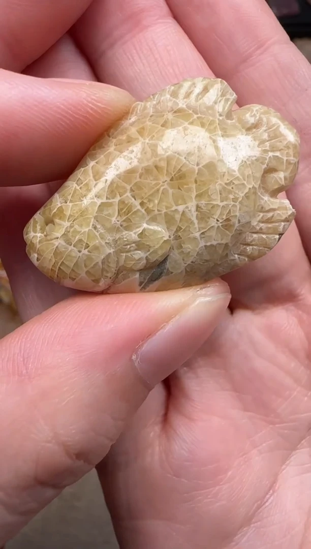 硅化珊瑚（珊瑚玉）未镶嵌颈饰172