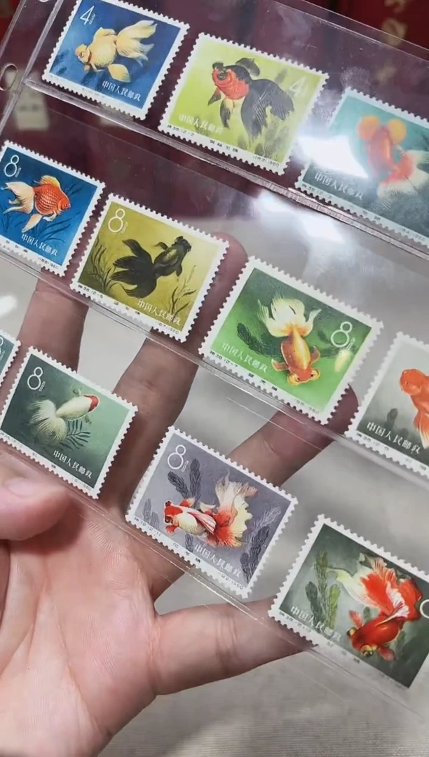 特38 金鱼套票 封装评级 邮票