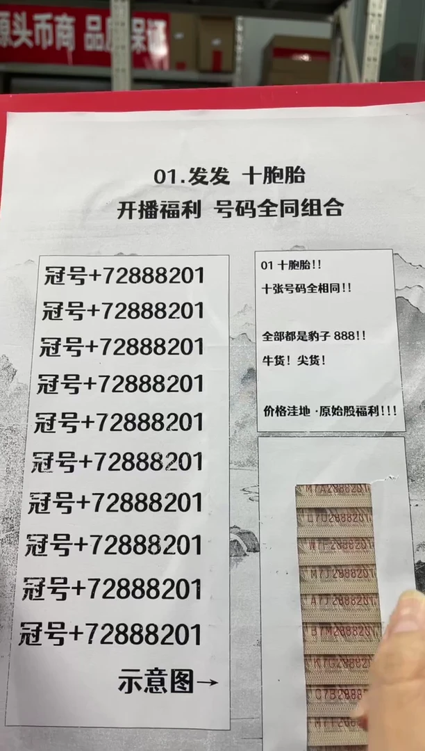 【发发十胞胎】01.全部豹子888十胞胎