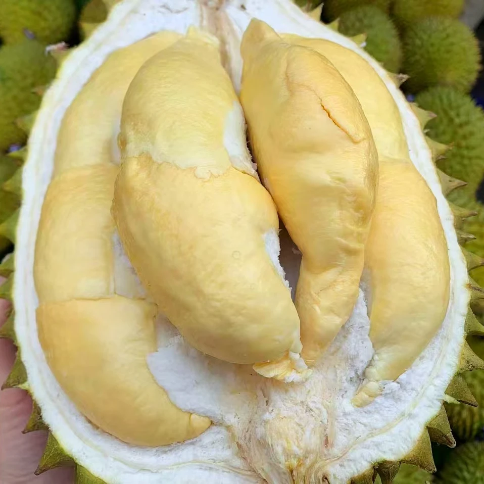 新鲜干尧榴莲3斤-10斤（核大，一物一拍）干尧越南