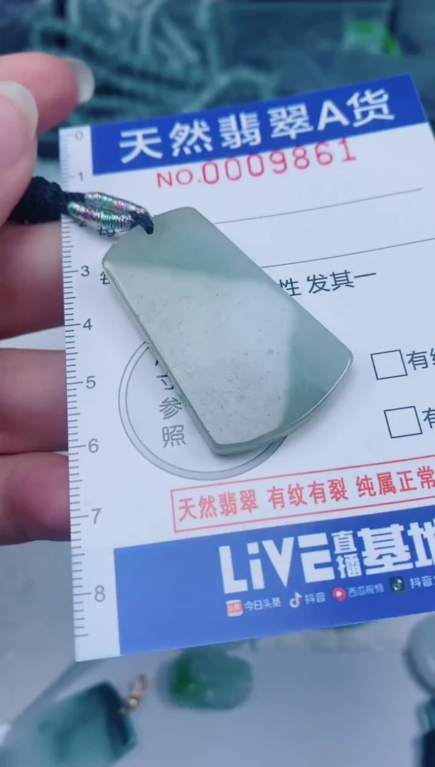颈饰未镶嵌翡翠00009861