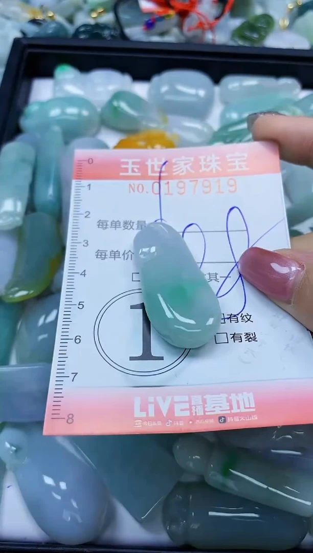 【闪购商品】翡翠颈饰未镶嵌闪购0197919