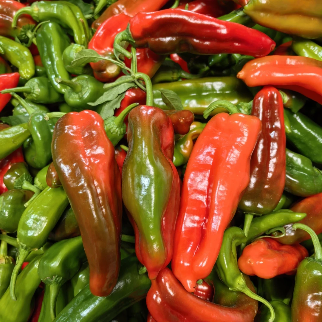 新鲜花辣椒微辣红辣椒虎皮椒牛角椒青红绿紫辣椒混装皮薄肉厚大椒