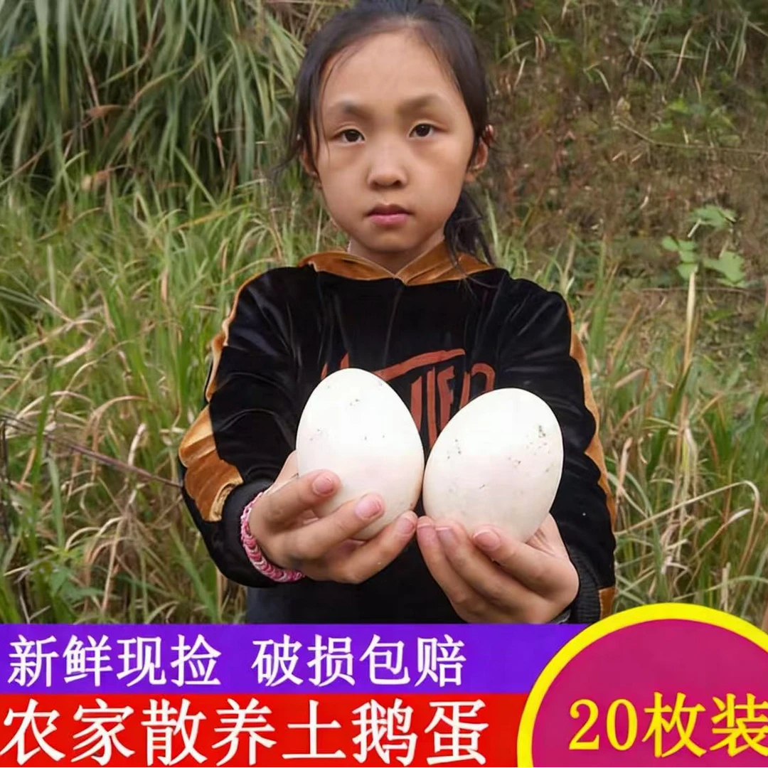 正宗特大粮食土鹅蛋20枚新鲜【坏蛋赔钱】