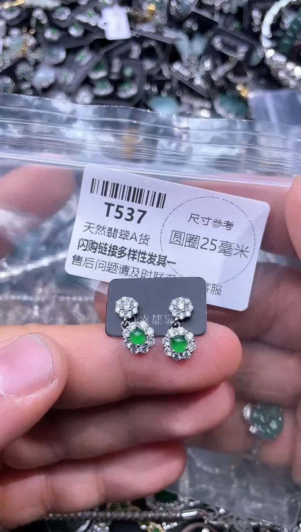 【闪购商品】翡翠颈饰未镶嵌T537耳钉