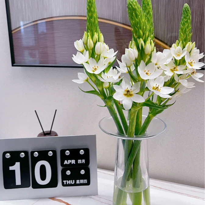 【花鲜丰】圣心百合+绿毛球家居用花日达鲜花花店同款今天拍明天到