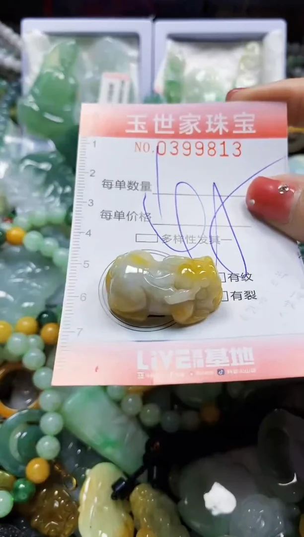 颈饰未镶嵌翡翠闪购0399813