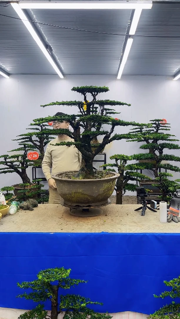 以实际为准一物一拍，所见即所得