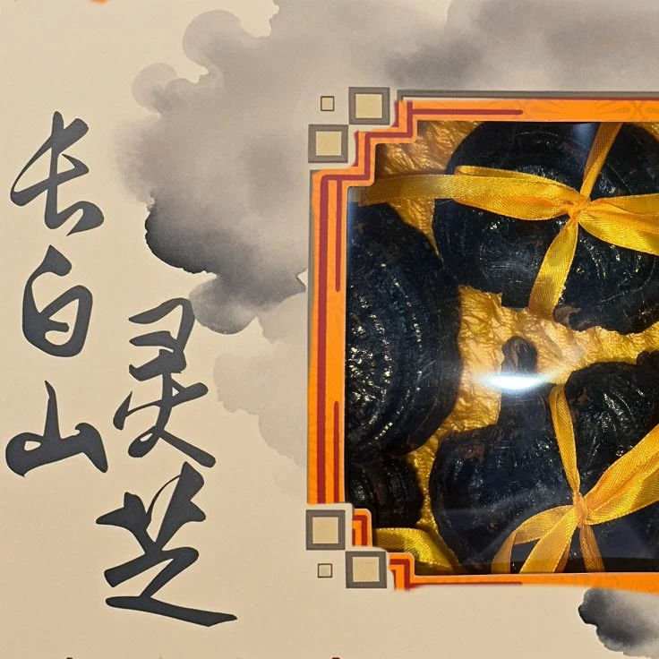 长白山精选整支黑灵芝
