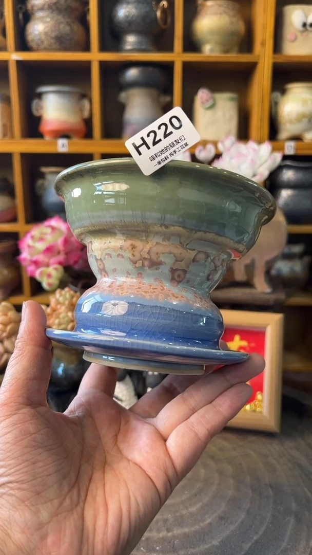 220 内口11.5【多肉花盆多肉盆】