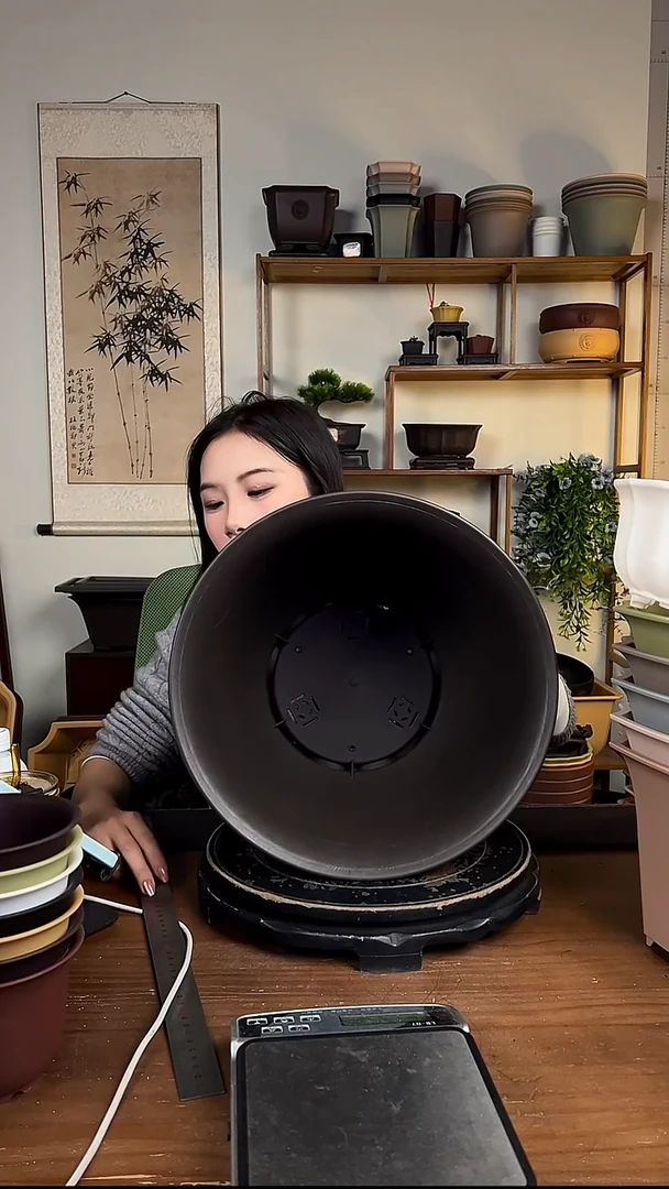 35*27金钟紫檀色2只装