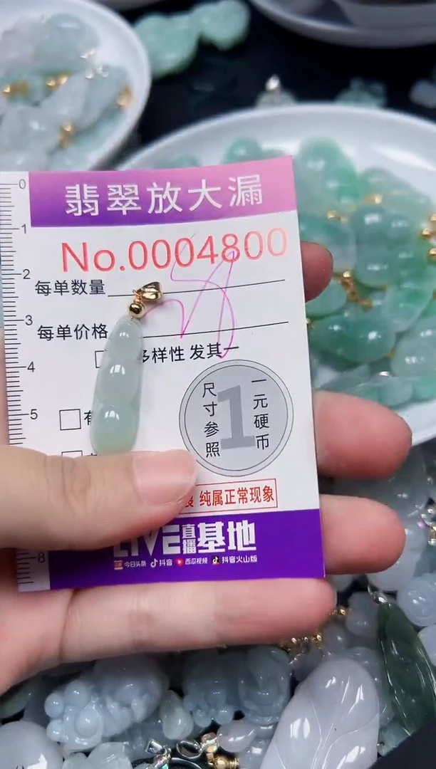 颈饰未镶嵌翡翠4800