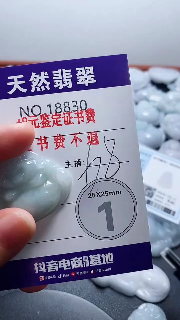 翡翠未镶嵌颈饰830