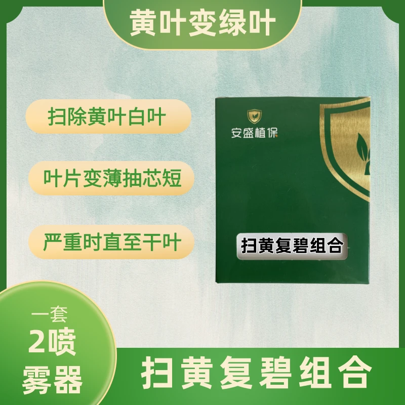 扫黄复碧组合：黄叶白叶干叶叶片变薄抽芯短