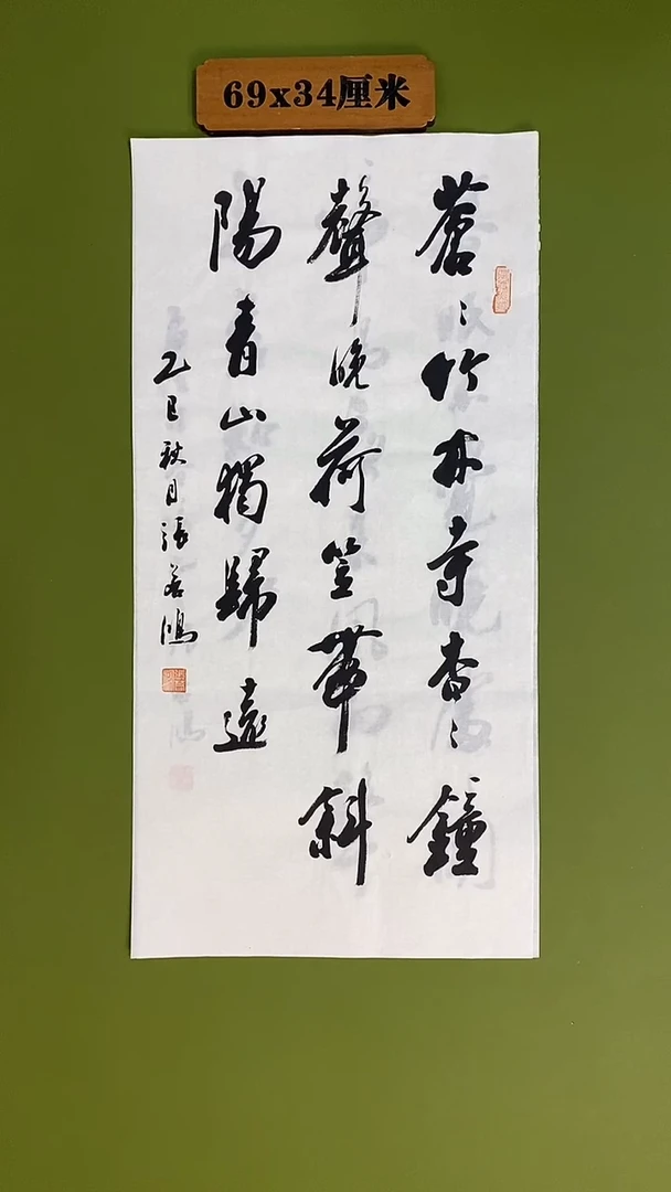 书法书法 张若鸿 尺寸69cm*34cm