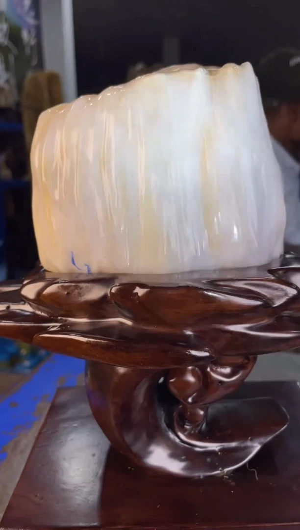 未镶嵌摆件硅化玉23