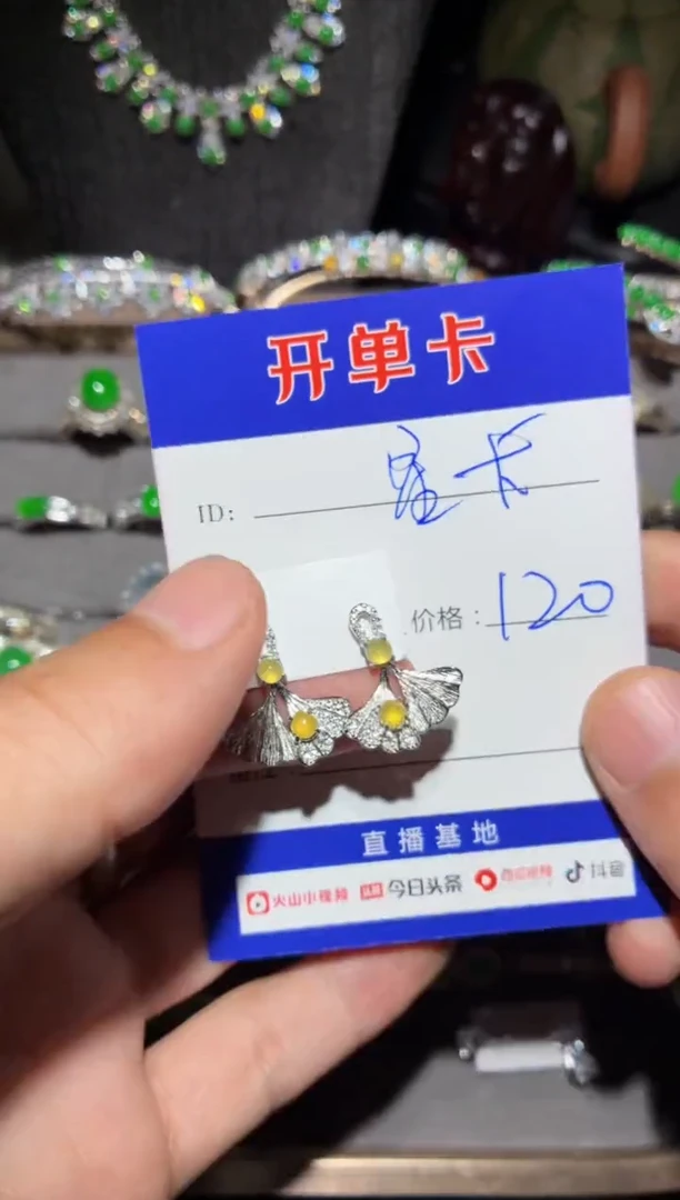 银S925镶嵌翡翠耳饰?**里0147933506