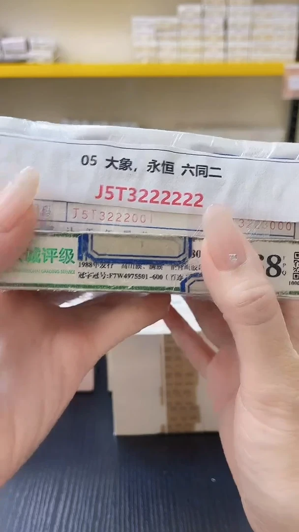 M  05 大象，永恒 六同二 J5T3222222
