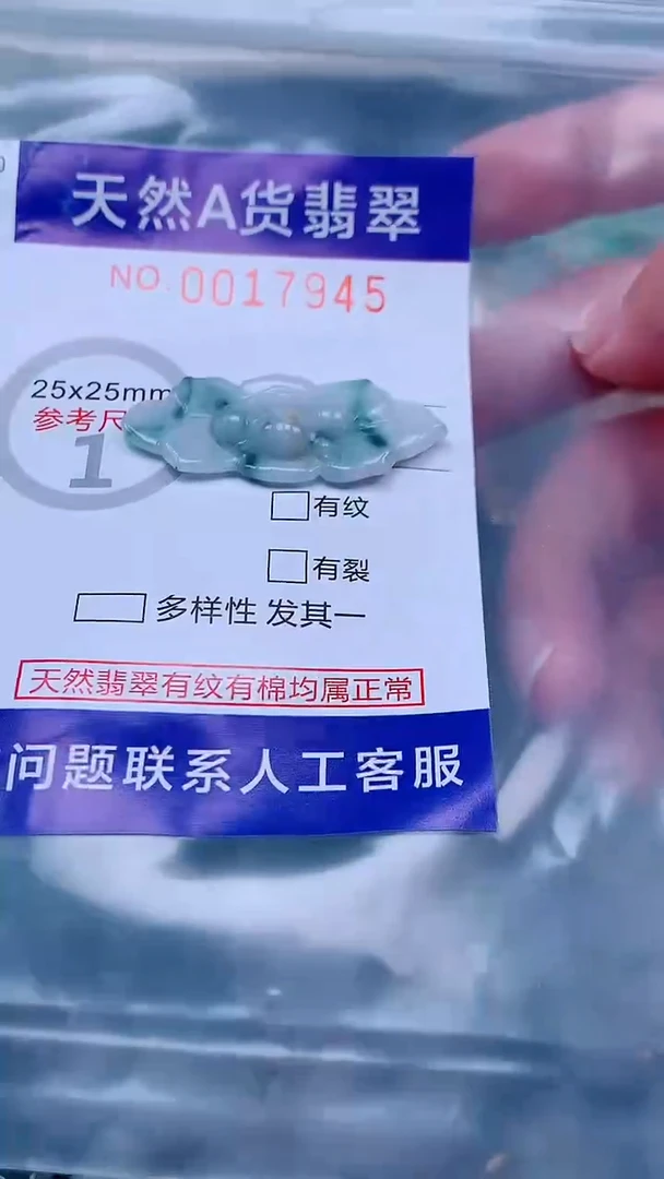 吊坠(不含链)未镶嵌翡翠1