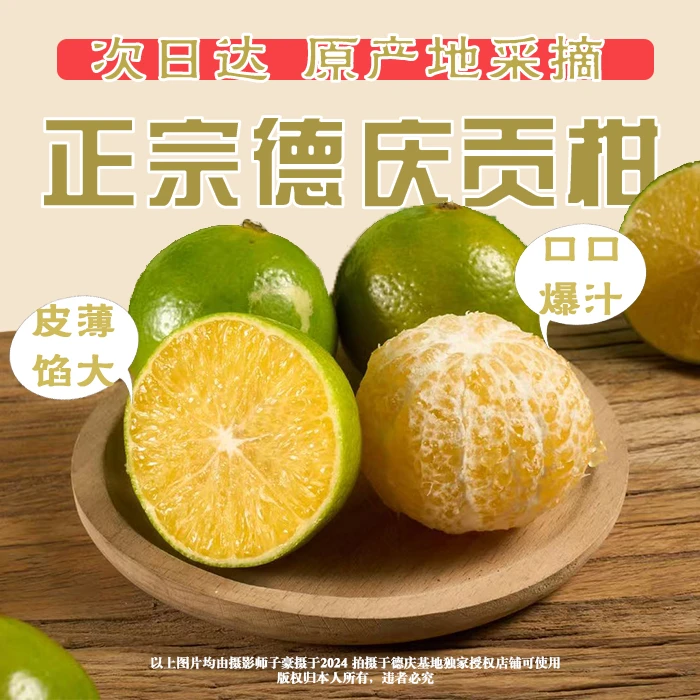 【次日达】广东德庆正宗皇帝柑贡柑新鲜现摘皮薄肉厚多汁当季水果广东省