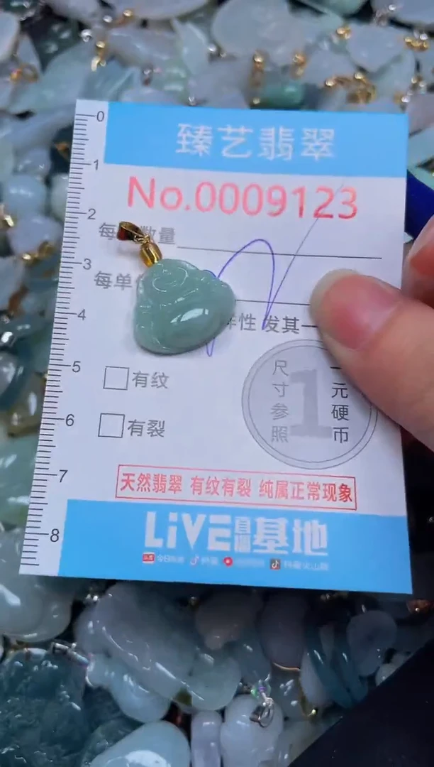 吊坠(不含链)未镶嵌翡翠9123