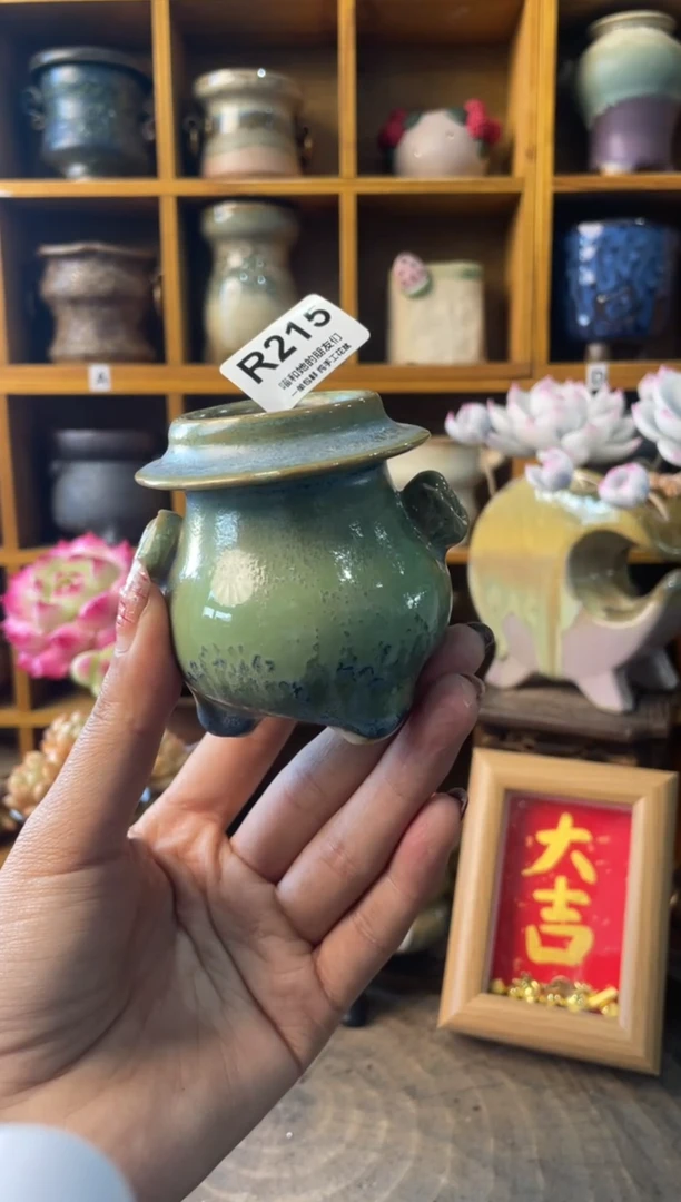 215内口3.5【多肉花盆多肉盆】