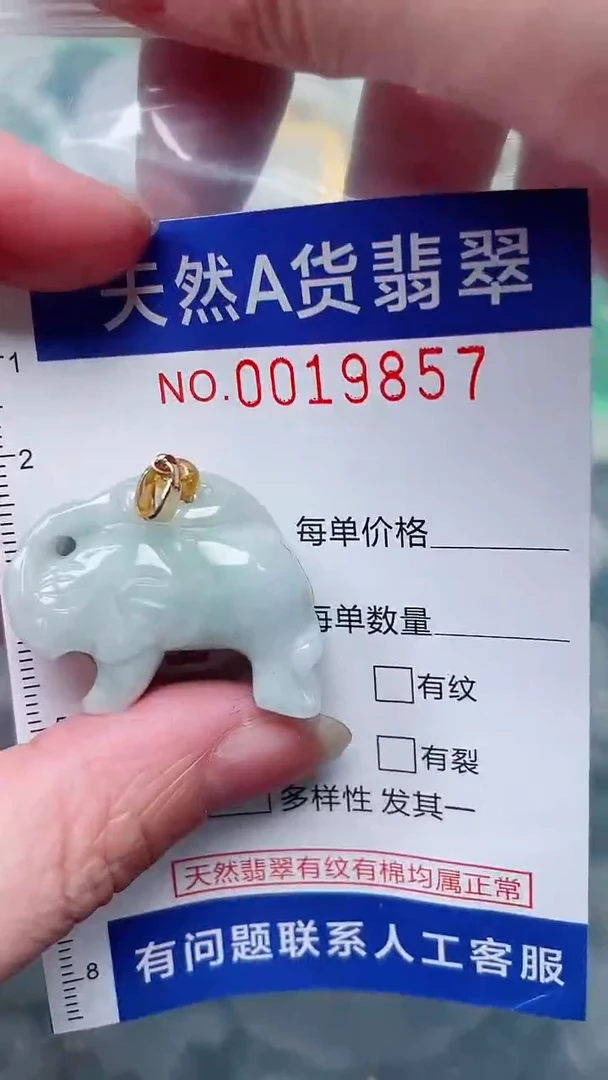 翡翠未镶嵌吊坠(赠链)1