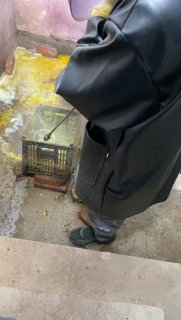 文玩核桃把件【谨慎下单，青皮开起不tui不huan！】中龙鼎1对青皮果