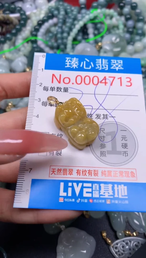 【闪购商品】翡翠颈饰未镶嵌含绳0004713