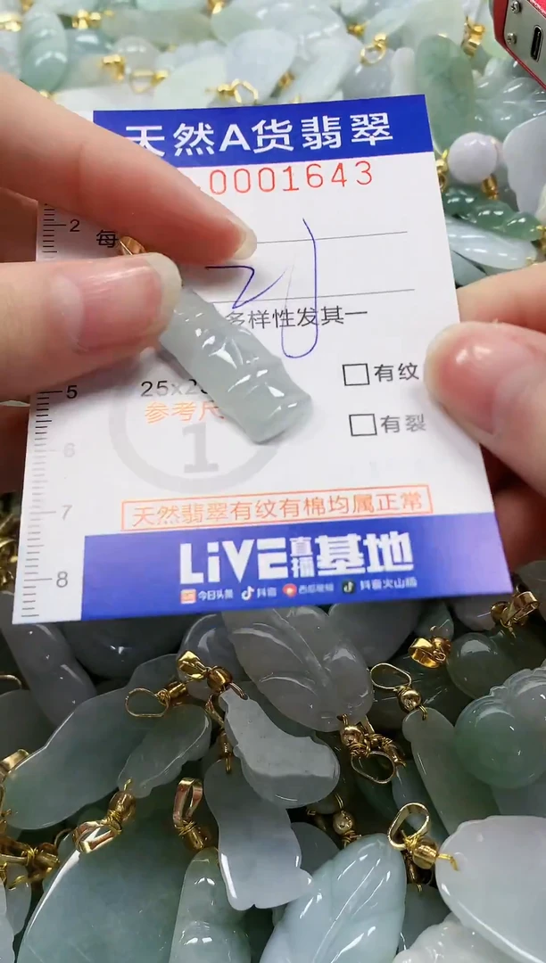 颈饰未镶嵌翡翠纯天然a货翡翠