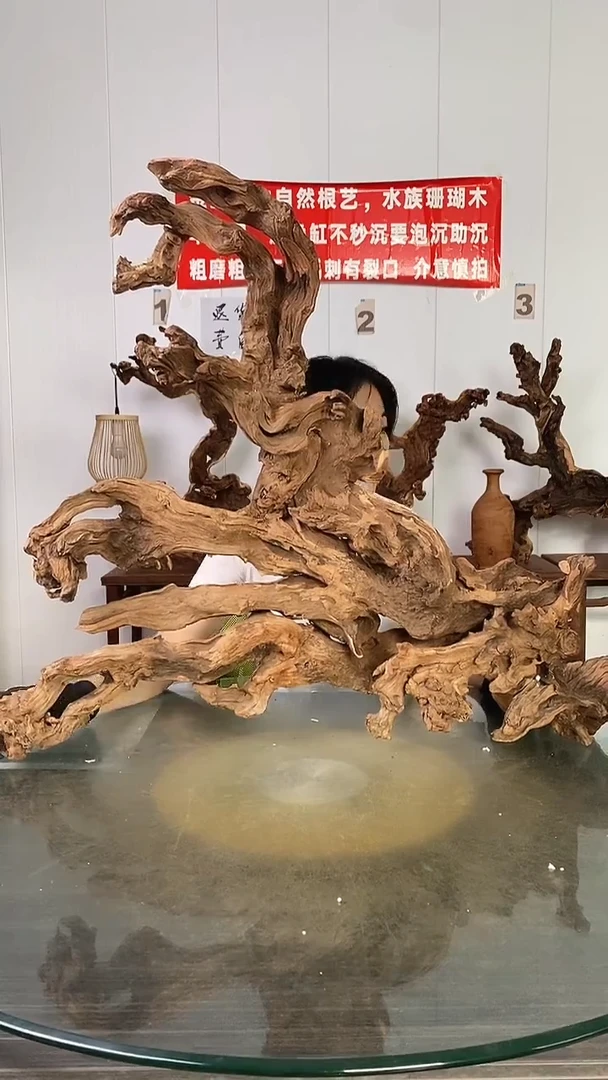 香榧木金丝红木 羊蹄甲