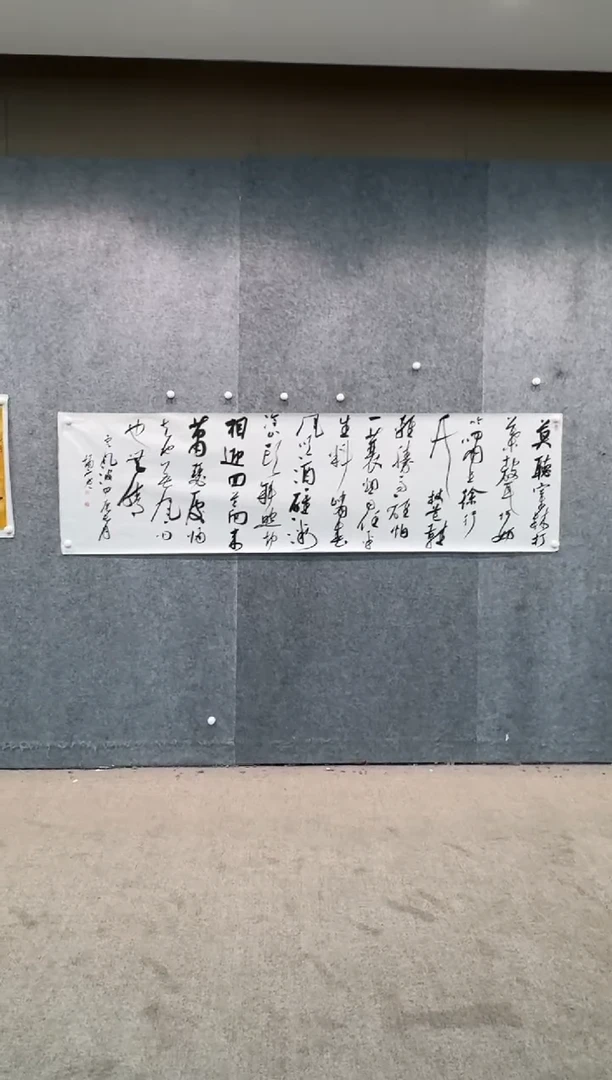 【闪购商品】书法pmw不二轩旗舰店书法ZL31