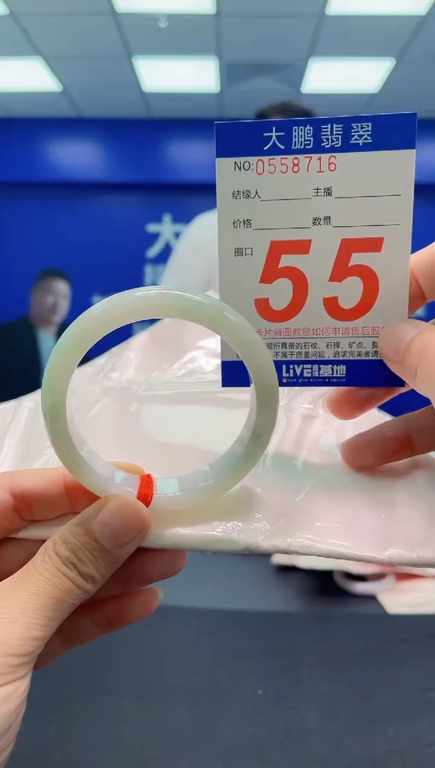 未镶嵌手镯翡翠AAAAAAAAA