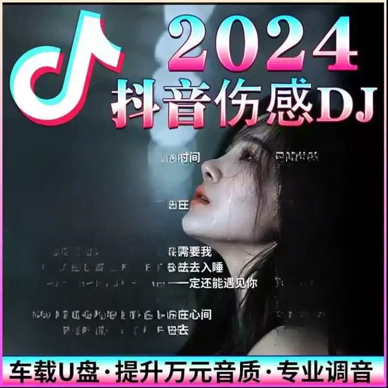 2024抖音车载u盘歌曲网络流行伤感催泪情歌无损高音质车用音乐U盘