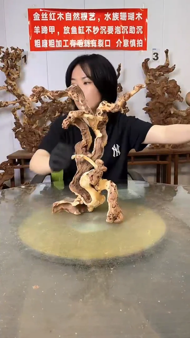 香榧木金丝红木 羊蹄甲