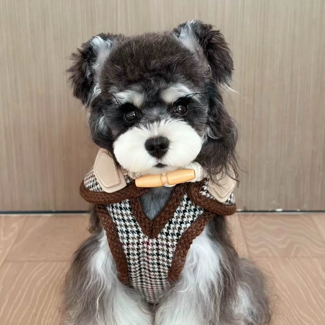 大明家活体宠物狗成交链接