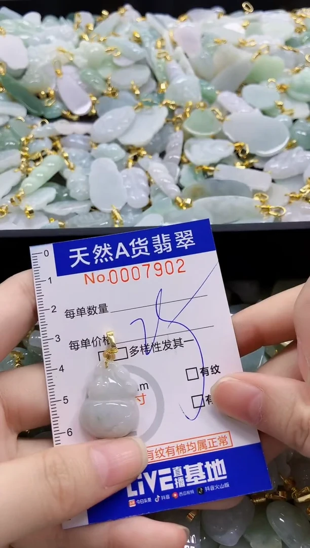 颈饰未镶嵌翡翠纯天然a货翡翠