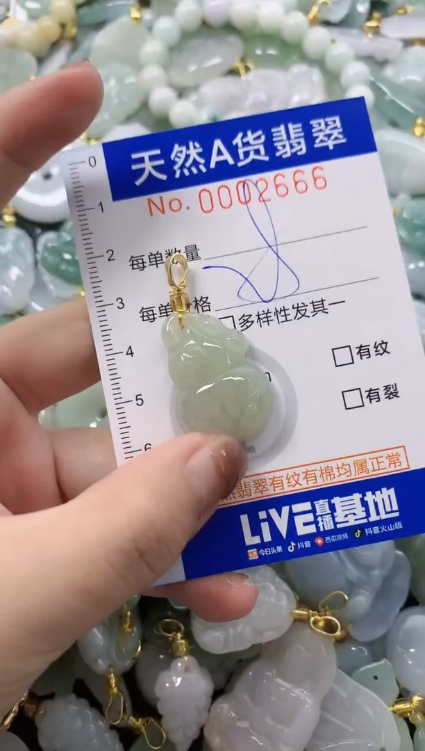 颈饰未镶嵌翡翠天然A货翡翠